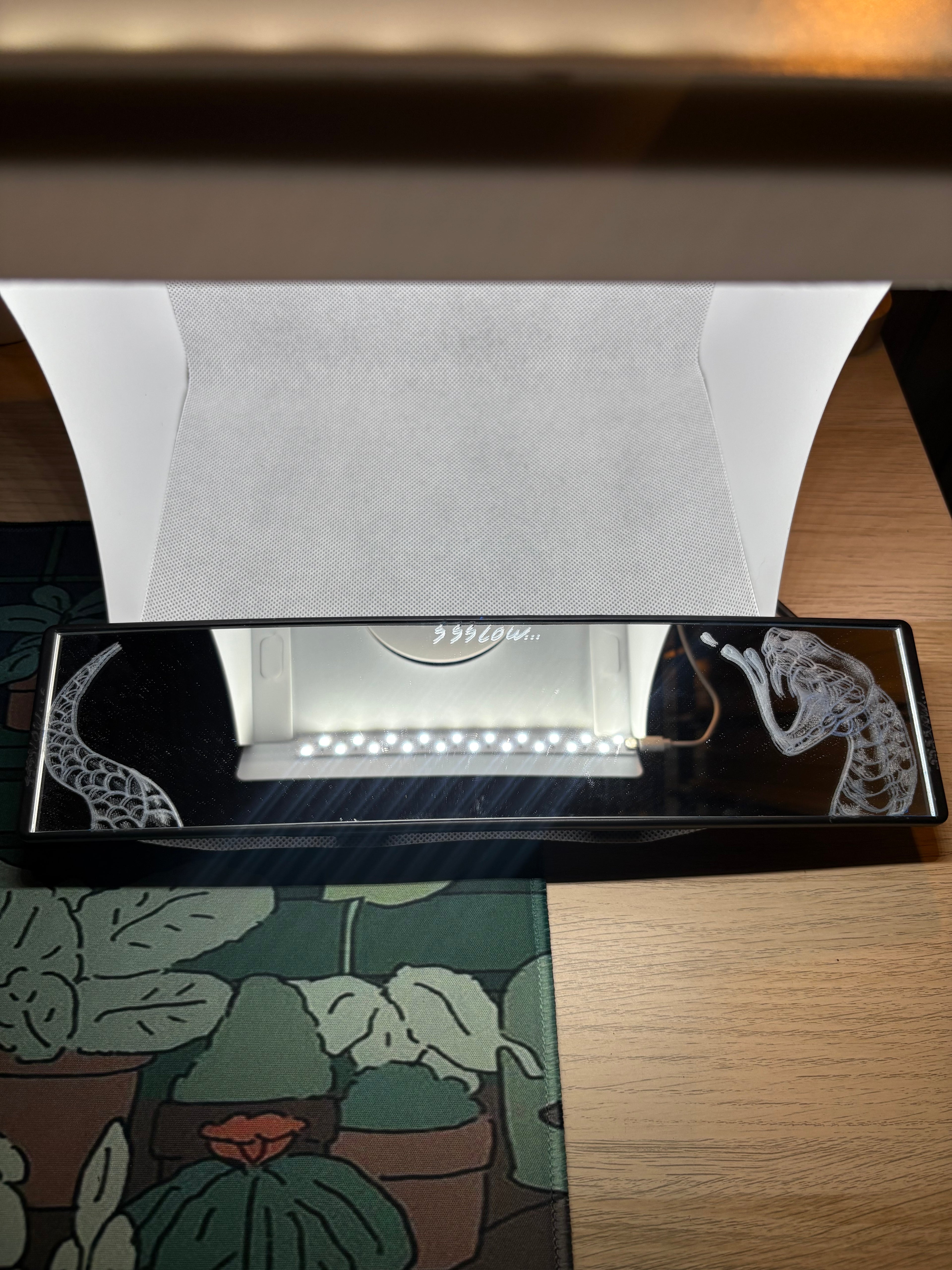 Snake Engraved Mirror