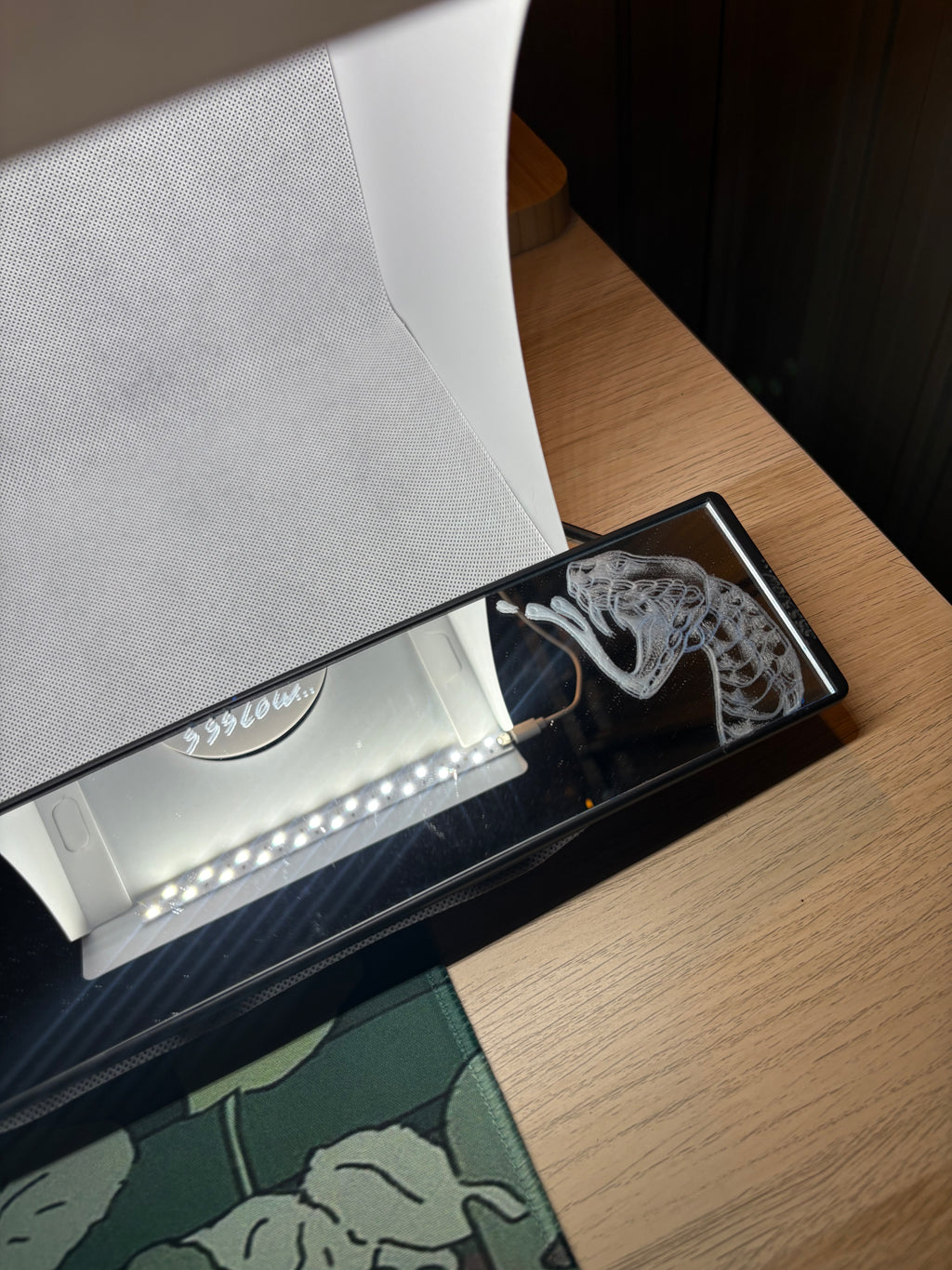 Snake Engraved Mirror