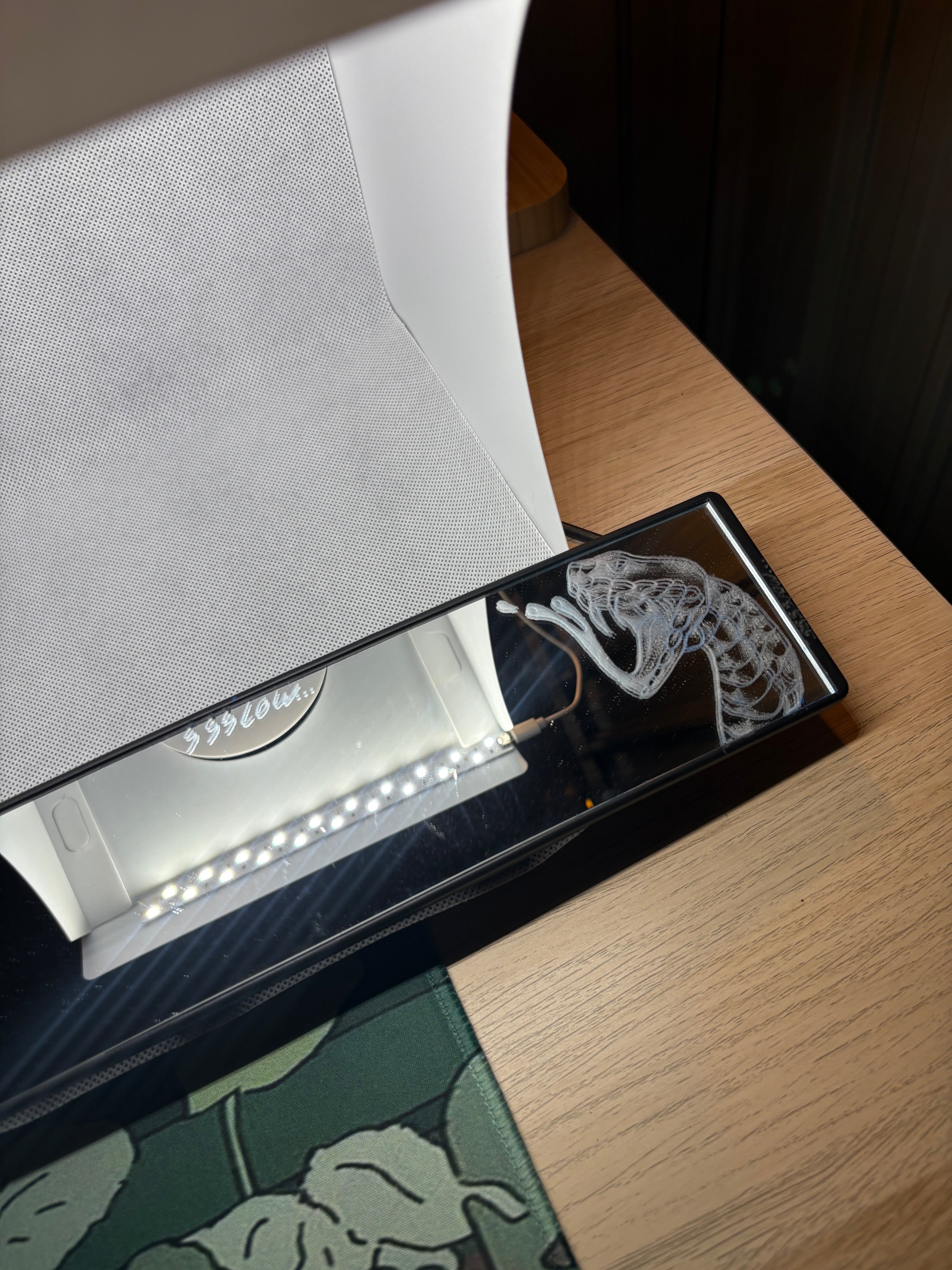 Snake Engraved Mirror